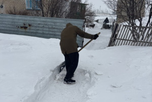 Доброта — благородное дело: Волонтеры оказали помощь пожилым людям